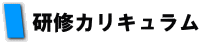 研修カリキュラム 研修カリキュラム